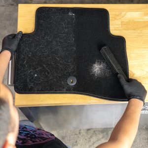 PetHairBrushCarpetSquareCrop.jpg
